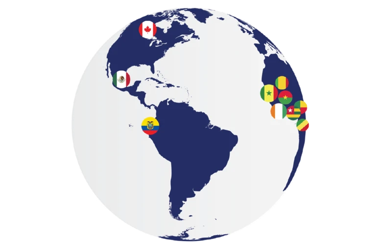 Mappe monde avec drapeaux indiquant la provenance de nos élèves dans les Amériques