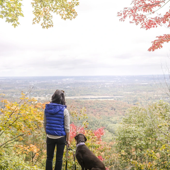 Un paysage automnal du haut d'une montagne. Une femme tenant en laisse son chien regarde au loin l'étendu du parc de la Gatineau